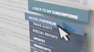 Model Portfolio image.