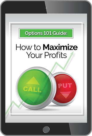 The Precision Profits Portfolio Guide